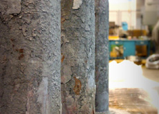 Extrusion Roll